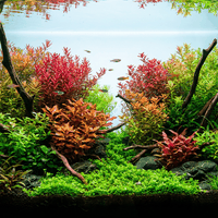Aquatic Plants